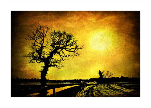 Sunset over trees by Martin  Fry