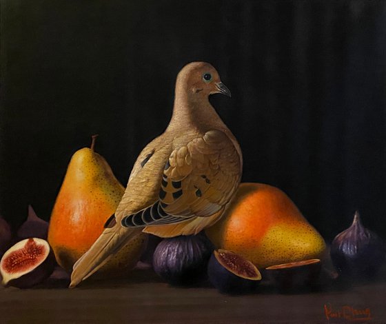 Mourning Dove and Still-Life
