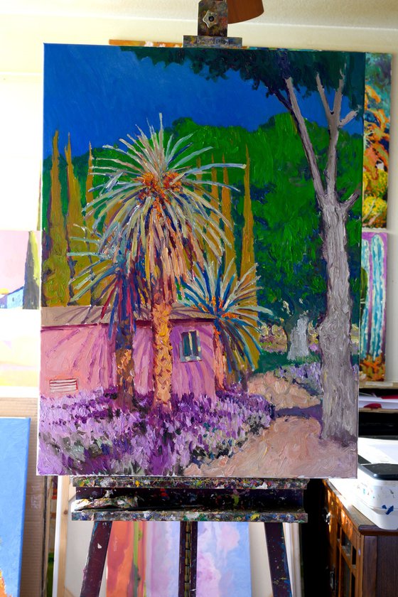 Pink House in the Park