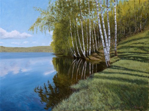 Vlasina Birches by Dejan Trajkovic