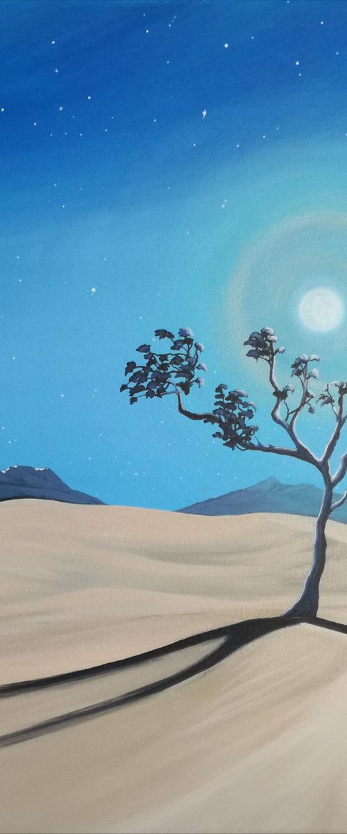 Desert Glow. by Zoe Adams