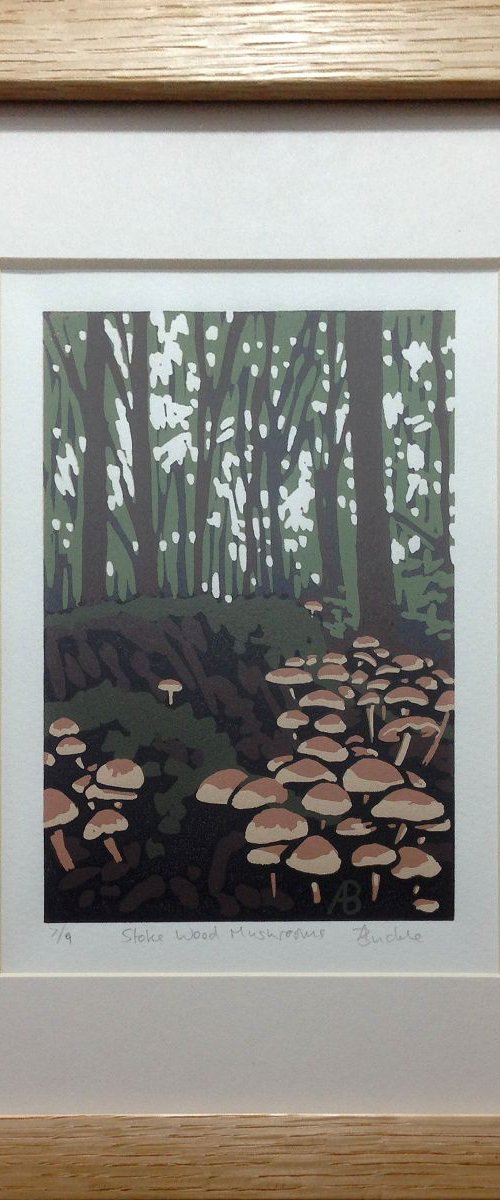 Stoke Wood Mushrooms, framed by Alexandra Buckle