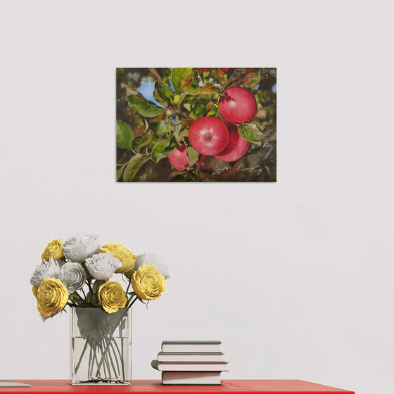 Red Apples on Tree Branch