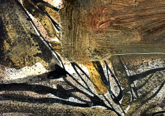 Small Harbour 1