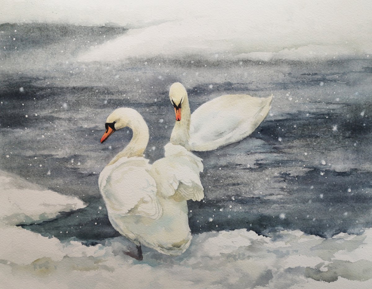 Two Swans - Swans in winter lake - Swan watercolor - couple of swans- winter by Olga Beliaeva Watercolour