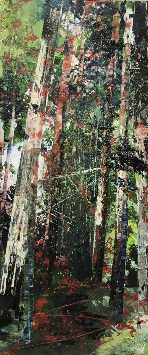Winter Evergreens by Belinda Reynell