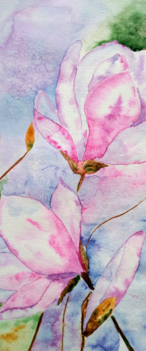 Magnolia blossoming pink magnolis flowers original watercolor painting magnolia branch" Spring beauty" by Halyna Kirichenko