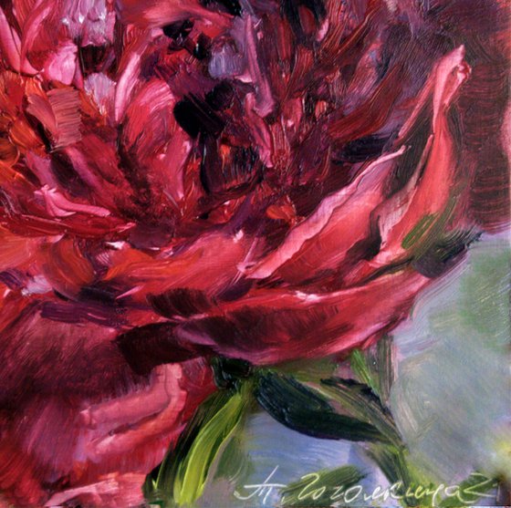 Red peony