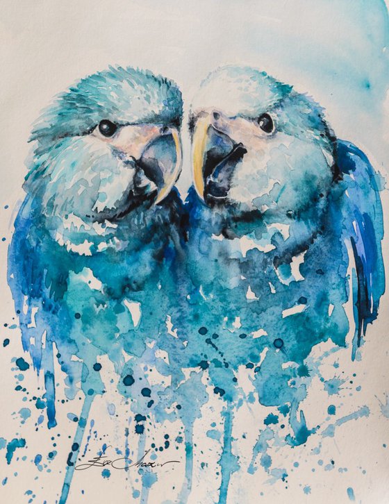 Spix's macaw