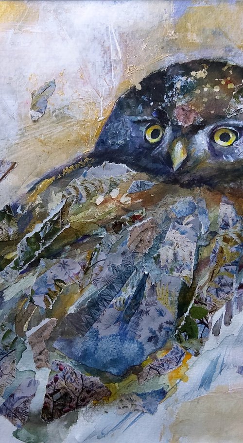 Owl 4 by Andja Zivadinovic