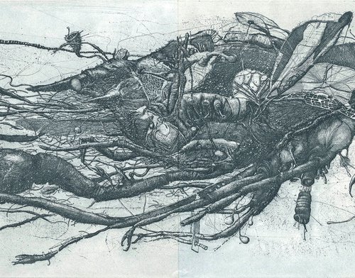 SHRIMP Free Graphic Etching by Konstantin Antioukhin