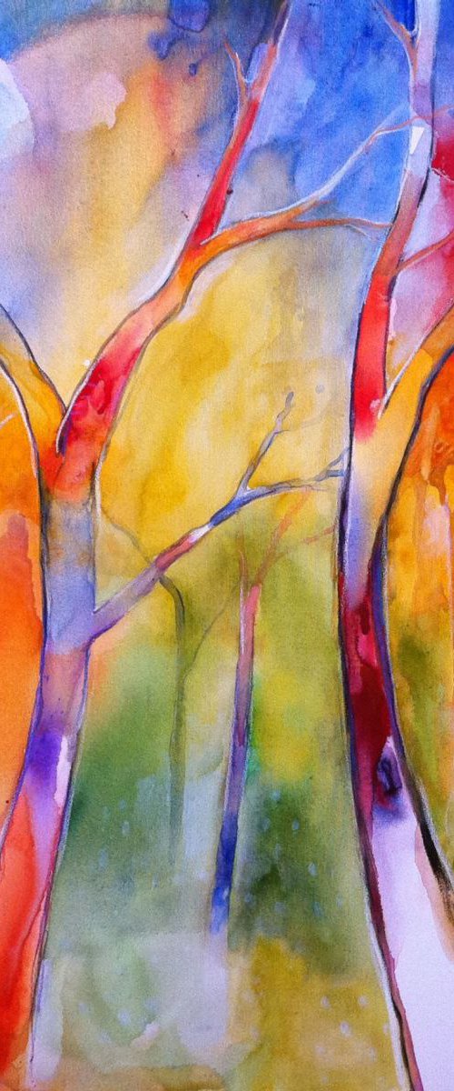 The colors of the woods by Alessandro Andreuccetti