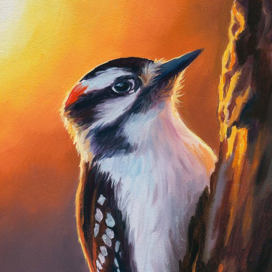 Downy woodpecker bird on a trunk