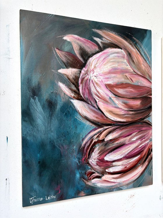 Proteas in Stillness