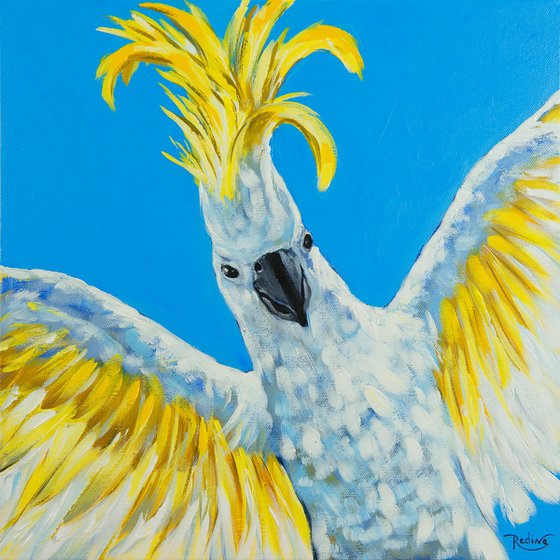 Party Cockatoo