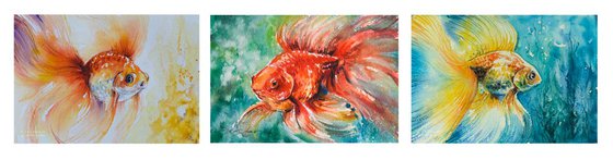 Gold fish. Set of 3 pictures !