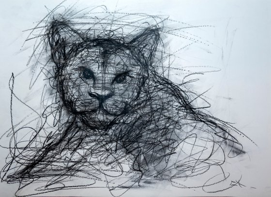 Lionceau, EXPRESSIVE INK drawing