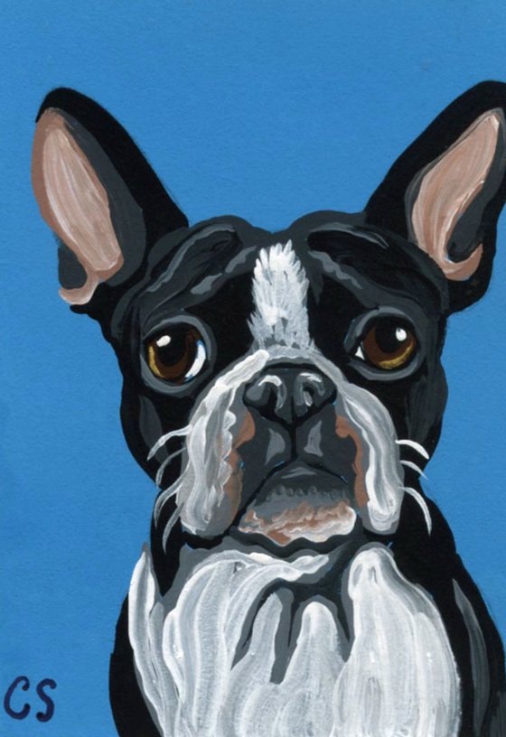 ACEO ATC Original Painting Black White Boston Terrier Dog Pet Art-Carla Smale