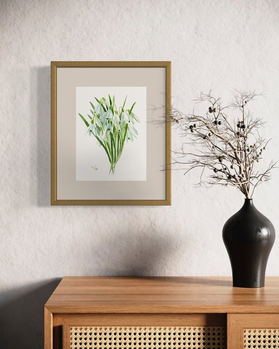 Snowdrop watercolor flowers