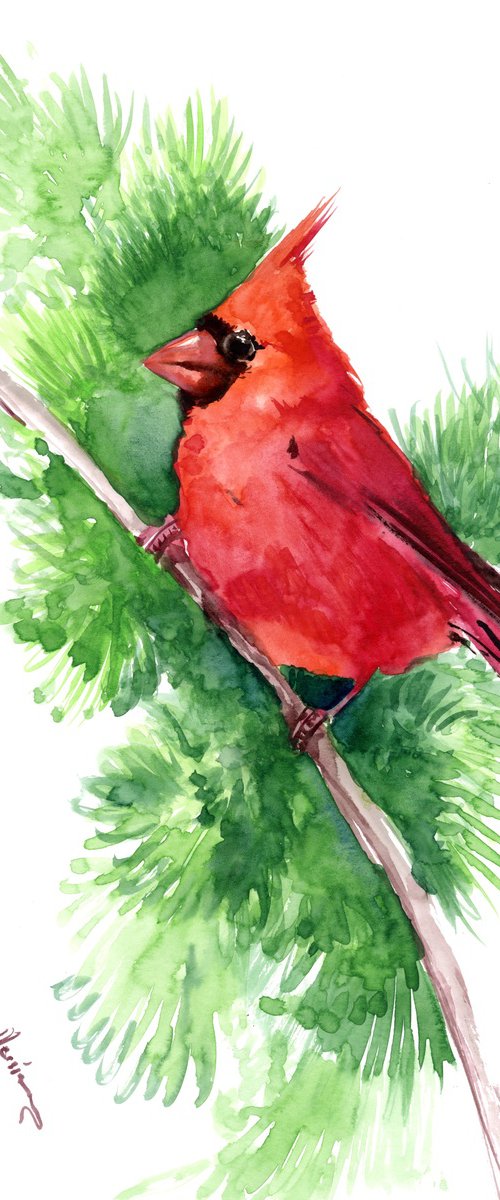 Red Cardinal Bird on the Pine by Suren Nersisyan