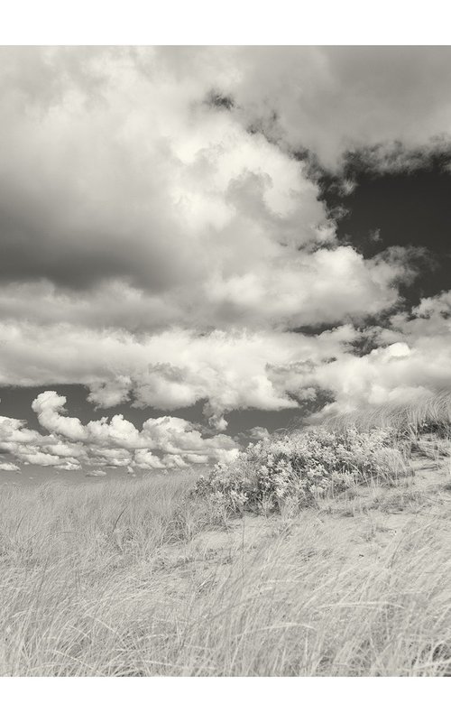 Dunes and Clouds, 24 x 16" by Brooke T Ryan