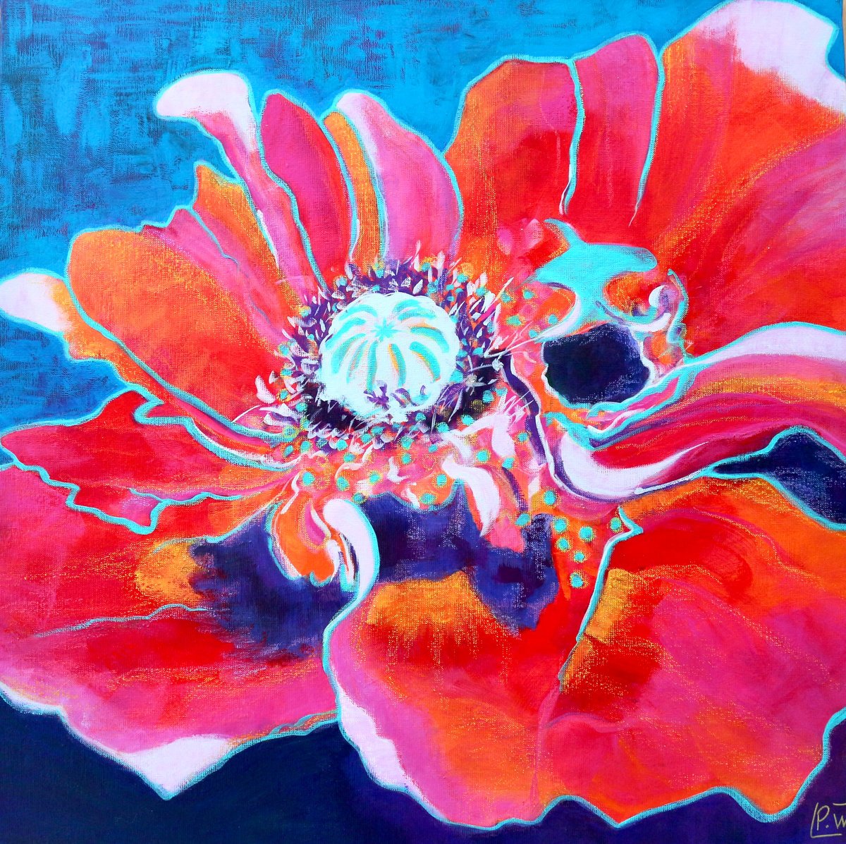 Garnet Poppy by Pascale WHITE