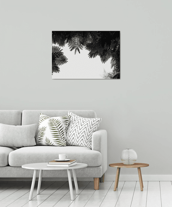 The Tree Top II | Limited Edition Fine Art Print 2 of 10 | 75 x 50 cm