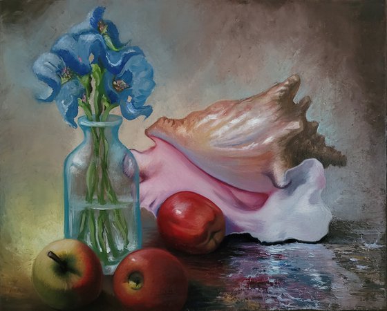 Conch Shell and apples still life