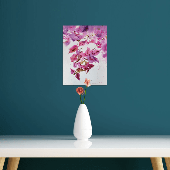 Bougainvillea Dream