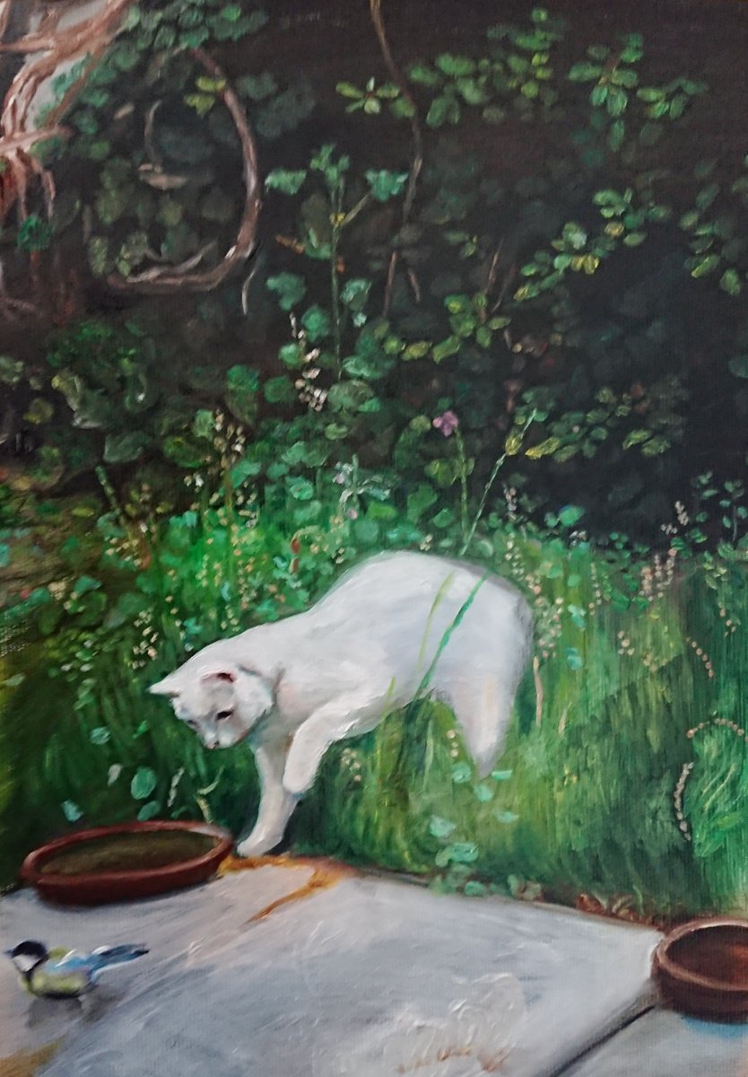 Cat in the garden by Viktoria Deri