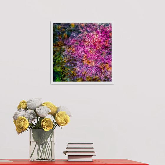 Abstract Flowers #6. Limited Edition 1/25 12x12 inch Photographic Print.