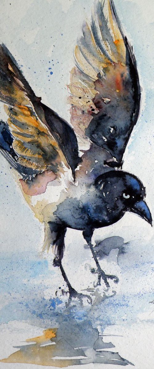 Crow on ice by Kovács Anna Brigitta