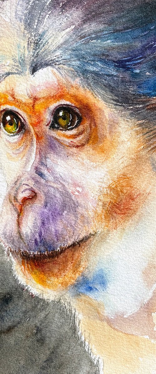 Watchful Monkey by Arti Chauhan