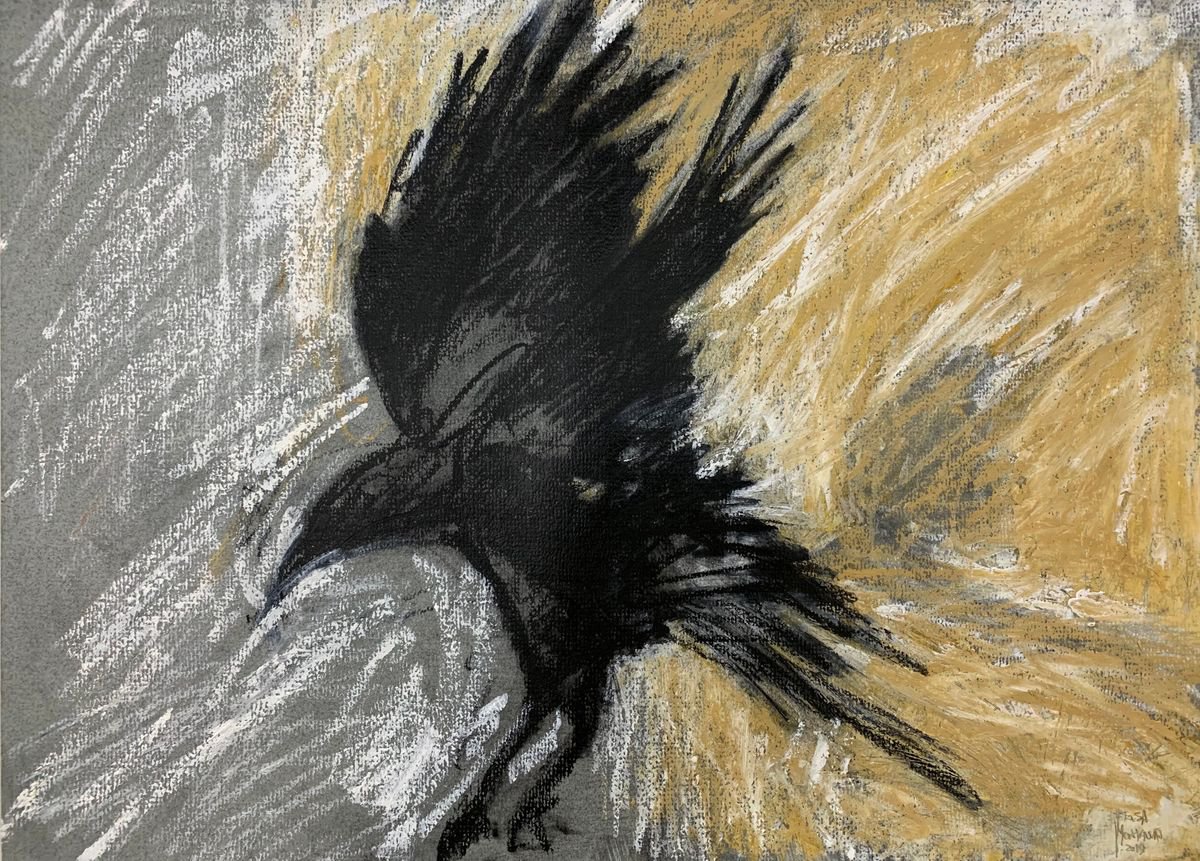 Shadow Crow by Teresa Montalvao