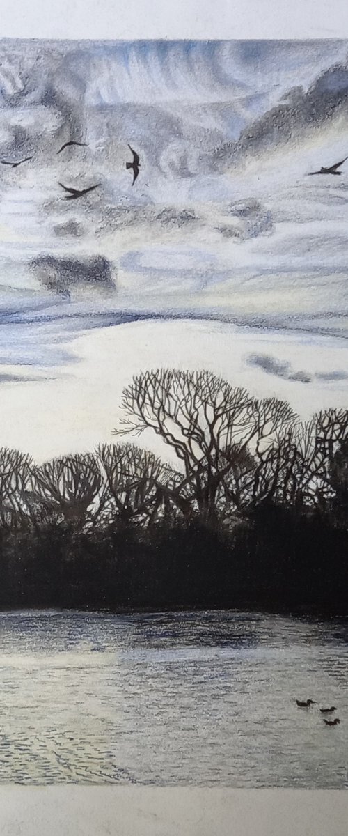 Winter Morning in the Park by Lisa Punter