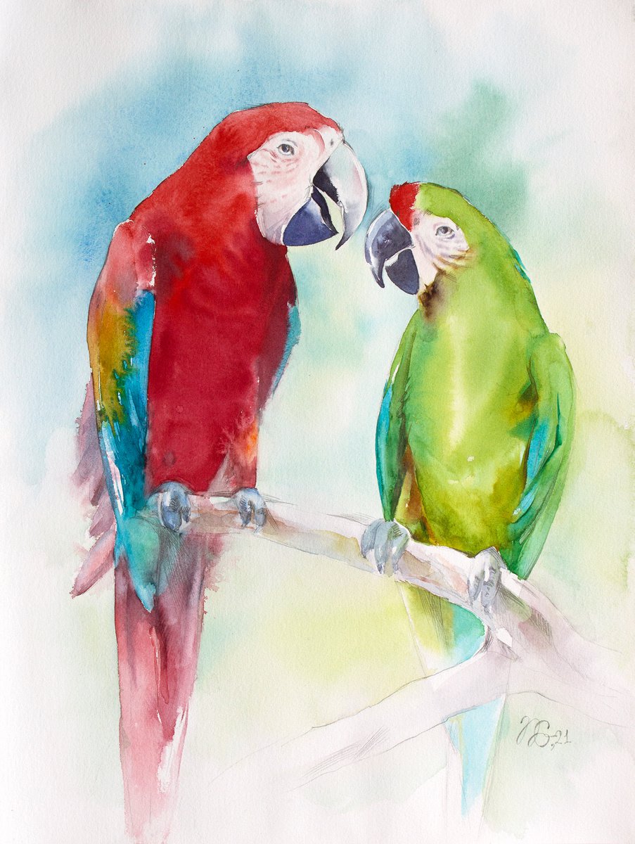 Couple of parrots by Natalia Galnbek