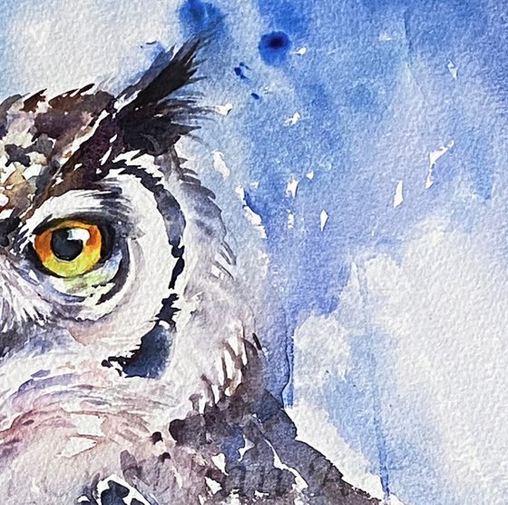 Astrid_ Eagle Owl