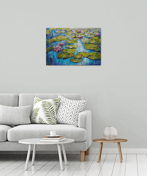 Water lilies pond