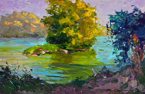A River along the Forest