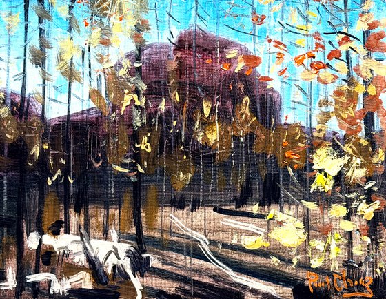 Whispers of Autumn Light
