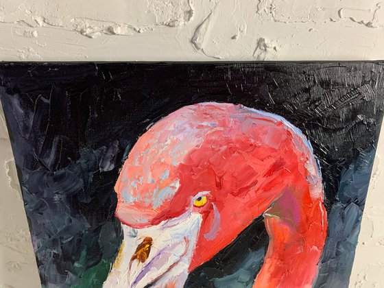 Flamingo.