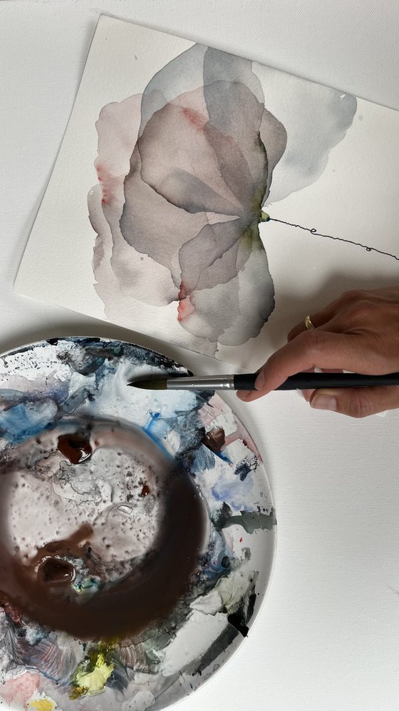 Silky Silver flower