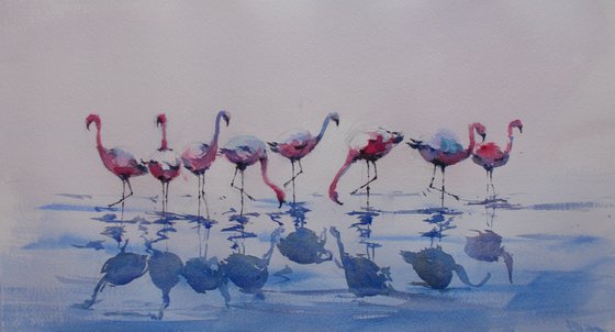 flamingos 2