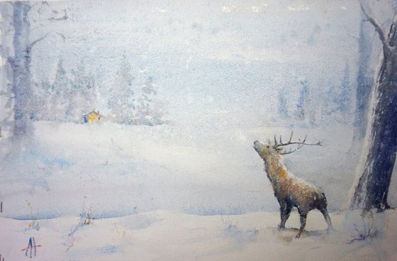 winter stag