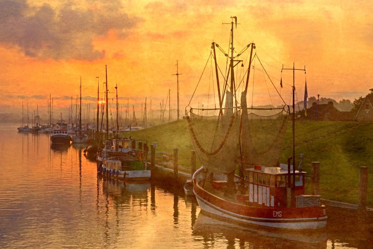A new Day in the Harbour by Sandra Roeken