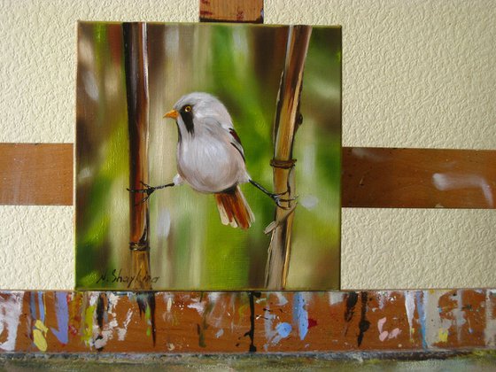 Charming Bird Oil Painting