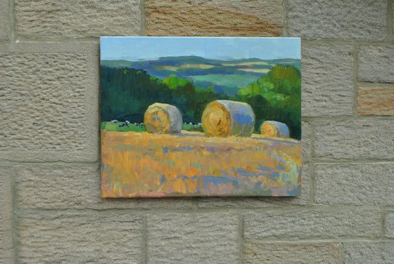 Summer Sentinels