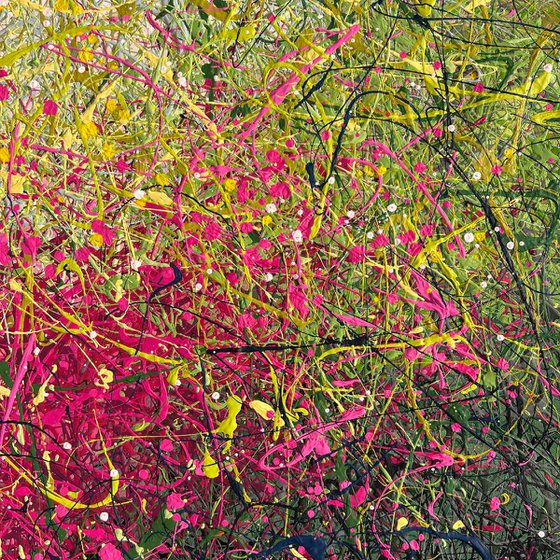 Dreaming Blooms