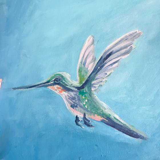 Hummingbird