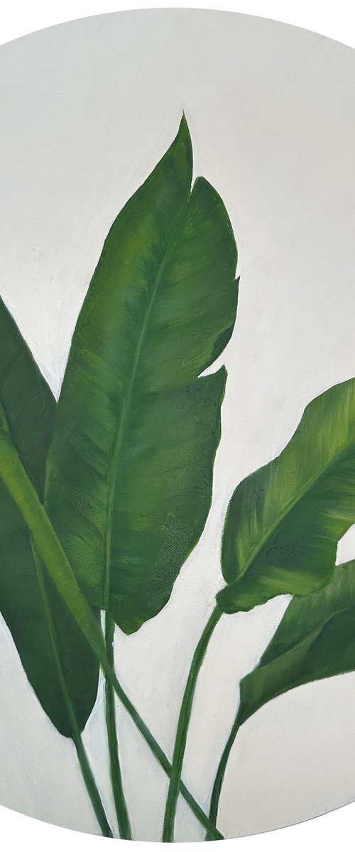 Tropical Banana Leaves by VICTO